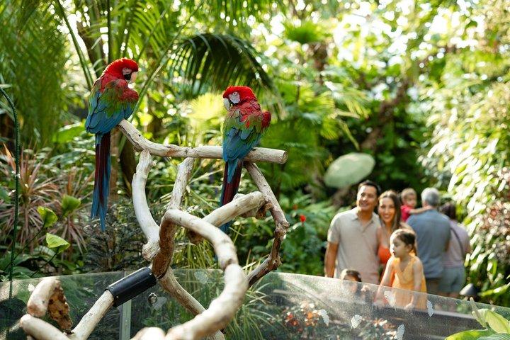 Bloedel Conservatory Entrébiljett