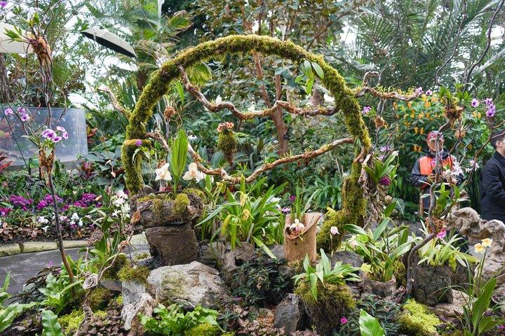Bloedel Conservatory Adgangsbillet