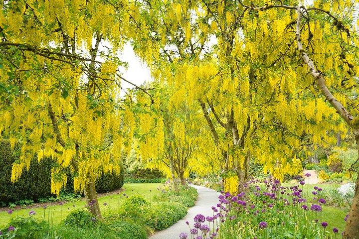 VanDusen Botanical Garden Admission Ticket