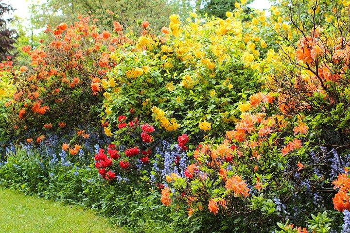 VanDusen Botanical Garden Admission Ticket