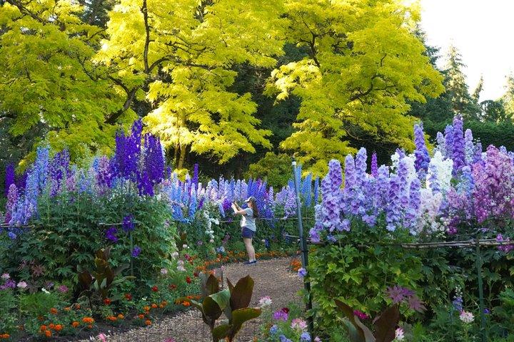 VanDusen Botanischer Garten Eintrittskarte