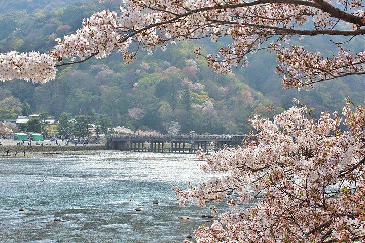 Excursions en voiture privée à Kyoto et Maizuru