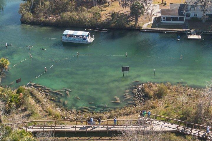 Visite en bateau de Crystal River Manatee Viewing & Sightseeing