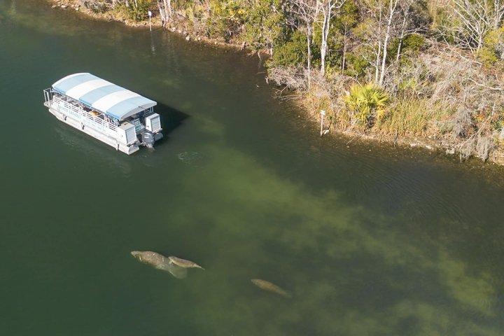 Crystal River Manatee visning och sightseeing båttur
