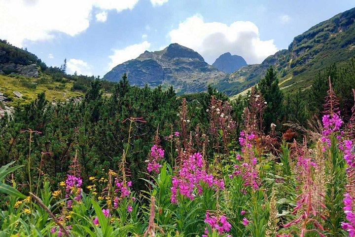 From Sofia: Rila Mountain Easy Hike and Optional Local Lunch
