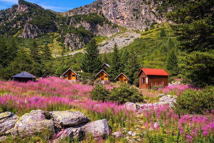 From Sofia: Rila Mountain Easy Hike and Optional Local Lunch