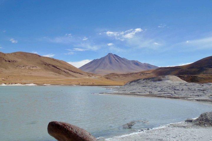 Visite des roches rouges et des lagunes de l'Altiplano