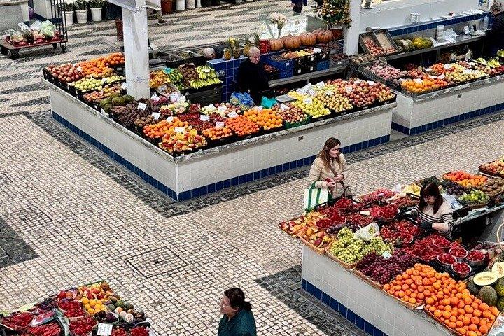 Privat Arrábida vin tur fra Lissabon med smagsprøver