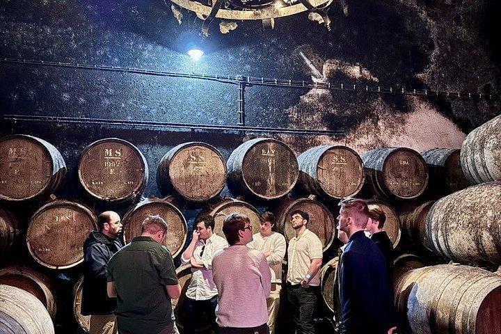 Privat Arrábida vin tur fra Lissabon med smagsprøver