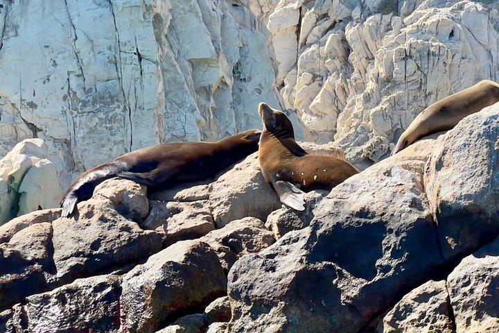 Land’s End Experience: Arch, Beaches and Marine Life