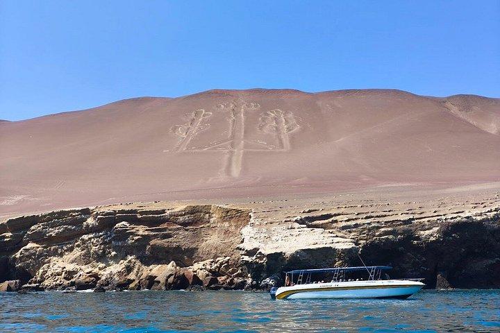 リマ発パラカス島とワカチナ島 – バジェスタス諸島とサンドボーディング