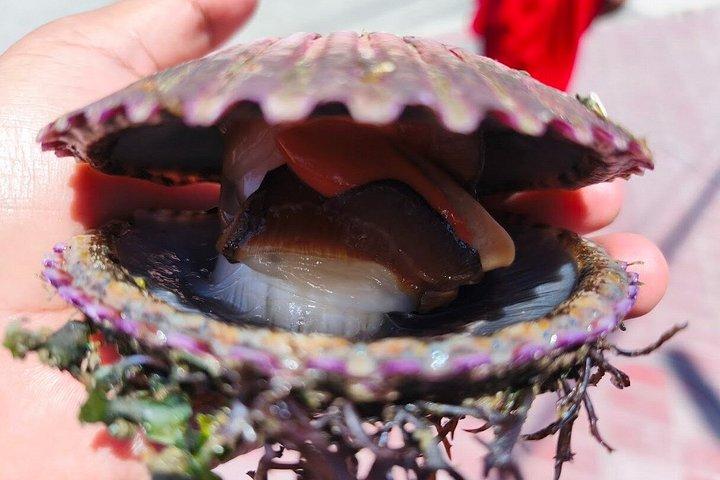 リマ発パラカス島とワカチナ島 – バジェスタス諸島とサンドボーディング