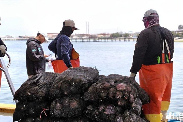 リマ発パラカス島とワカチナ島 – バジェスタス諸島とサンドボーディング