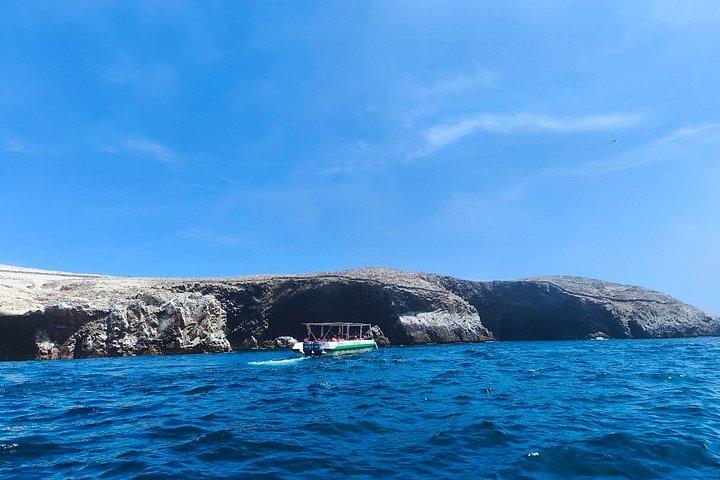 リマ発パラカス島とワカチナ島 – バジェスタス諸島とサンドボーディング