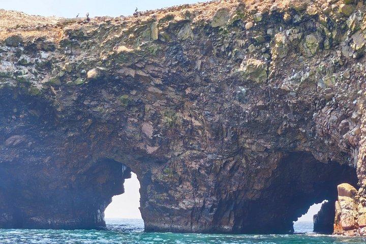 リマ発パラカス島とワカチナ島 – バジェスタス諸島とサンドボーディング