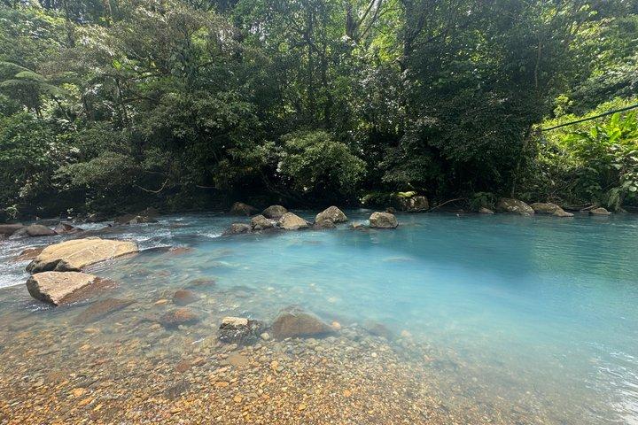 Private Magic Rainforest Blue River, Wildlife & Wasserfälle Tour