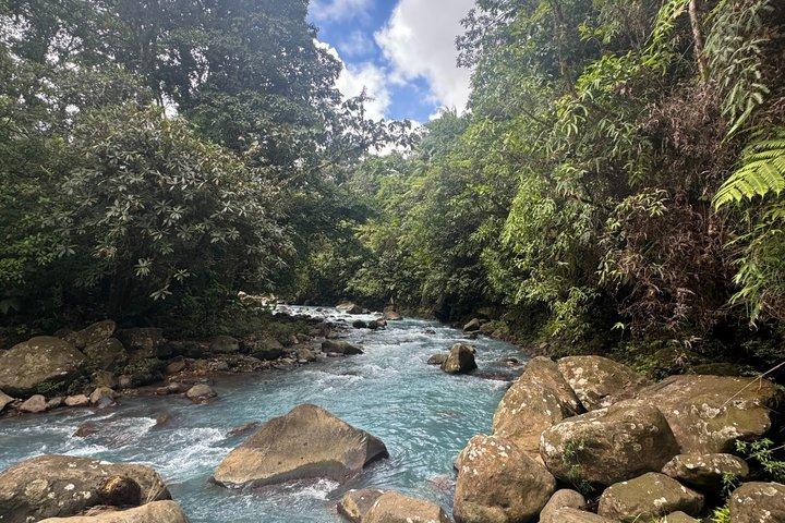 Private Magic Rainforest Blue River, Wildlife & Wasserfälle Tour