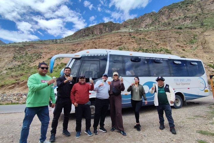 Colca Full Day Tour
