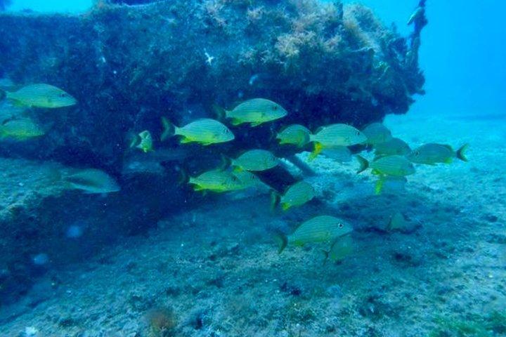 Tour SeaTrek St. Maarten