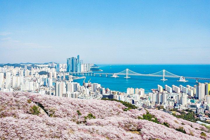巌川村＆スカイカプセルと釜山トップコースの見どころ
