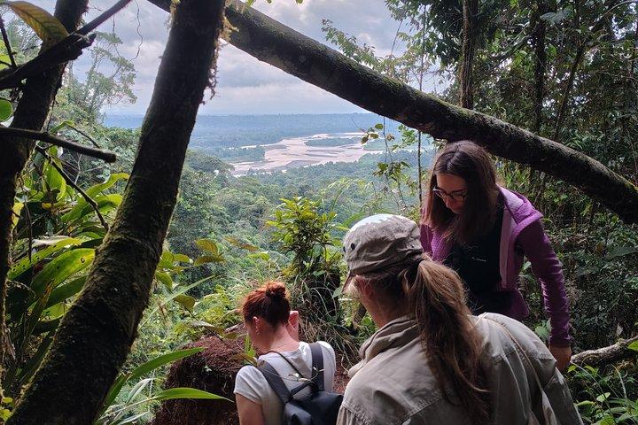 1 - Day Jungle Tour to Puyo
