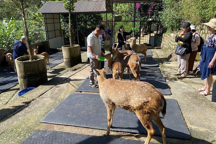 ホーチミン市発 4日間ムイネ＆ダラットプライベートツアー