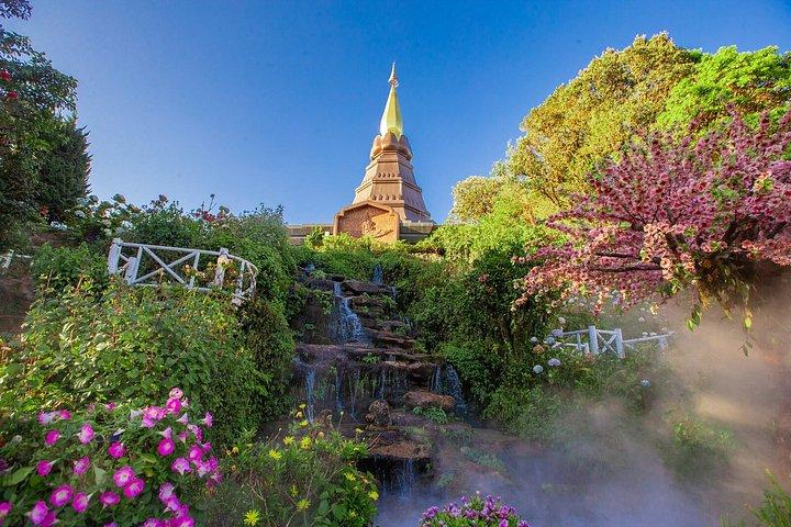 チェンマイ発ドイインタノン滝田んぼツアー