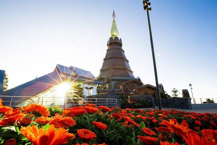 チェンマイ発ドイインタノン滝田んぼツアー