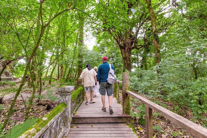 チェンマイ発ドイインタノン滝田んぼツアー