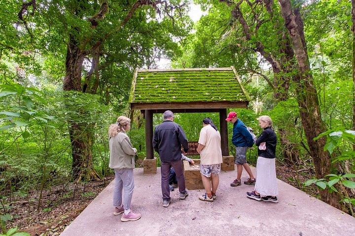 チェンマイ発ドイインタノン滝田んぼツアー