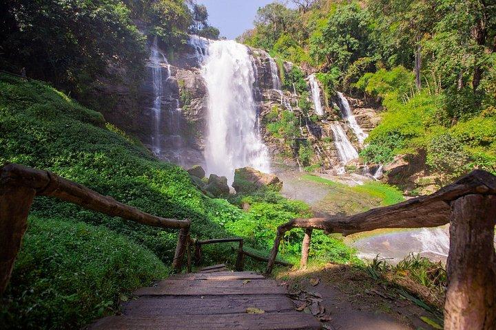 チェンマイ発ドイインタノン滝田んぼツアー