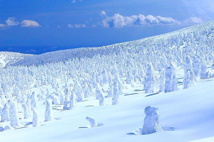 2 - 日帰り東北ツアー蔵王スノーモンスターズと銀山温泉