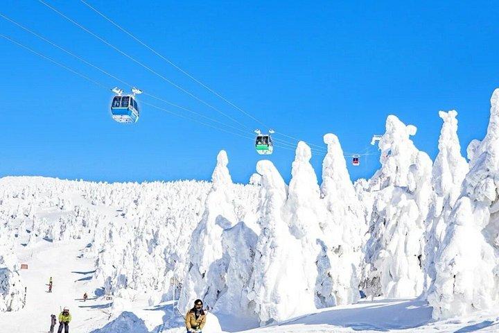 2 - 日帰り東北ツアー蔵王スノーモンスターズと銀山温泉