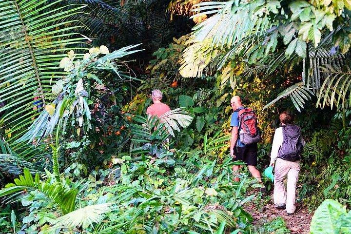 グループツアー-人里離れた道北ベトナム7泊8日