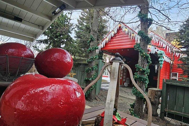 冬のコンボ ゴザフォスのクリスマスハウスと森のラグーン