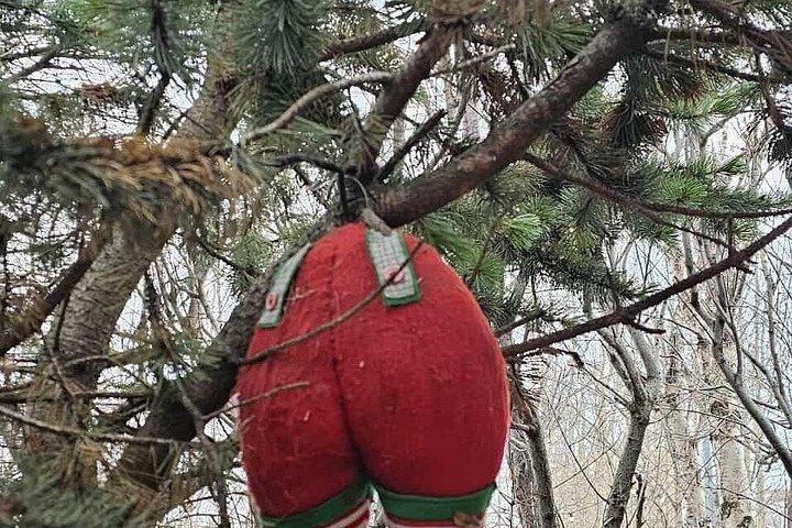 冬のコンボ ゴザフォスのクリスマスハウスと森のラグーン
