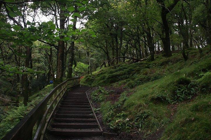 ワイルド・ウィックロー・ツアー：ウィックロー山脈、グレンダロウ、ギネス湖