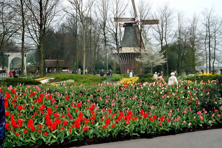 Privater Tagesausflug nach Haarlem und Keukenhof ab Amsterdam