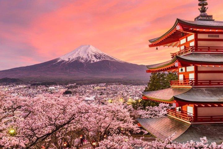 Private Tour To Mount Fuji from Tokyo - A Majestic Experience