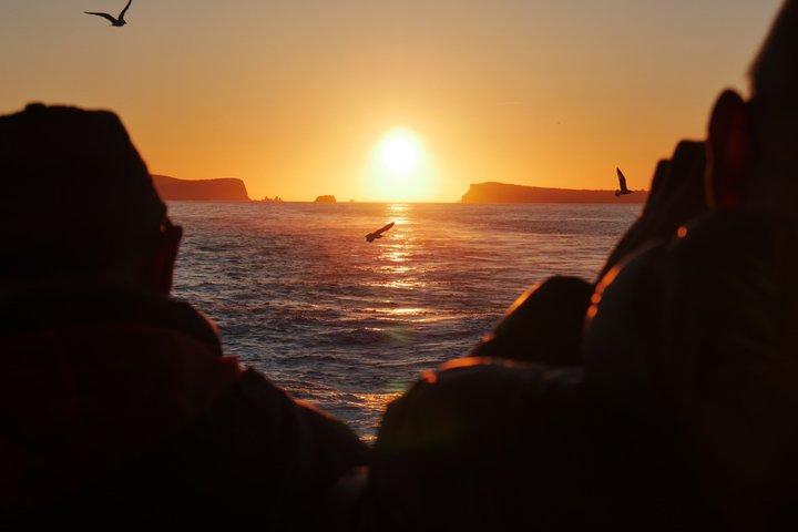 イビサ島：エス ベドラの朝または日没のカタマラン クルーズ
