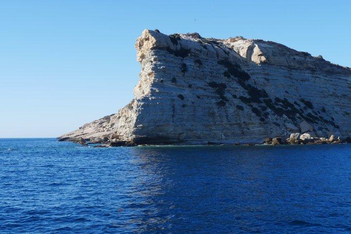 イビサ島：エス ベドラの朝または日没のカタマラン クルーズ