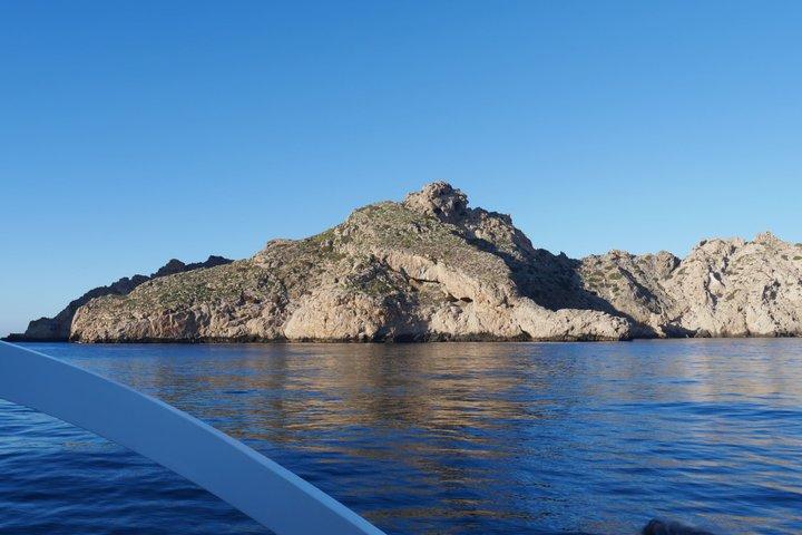 イビサ島：エス ベドラの朝または日没のカタマラン クルーズ