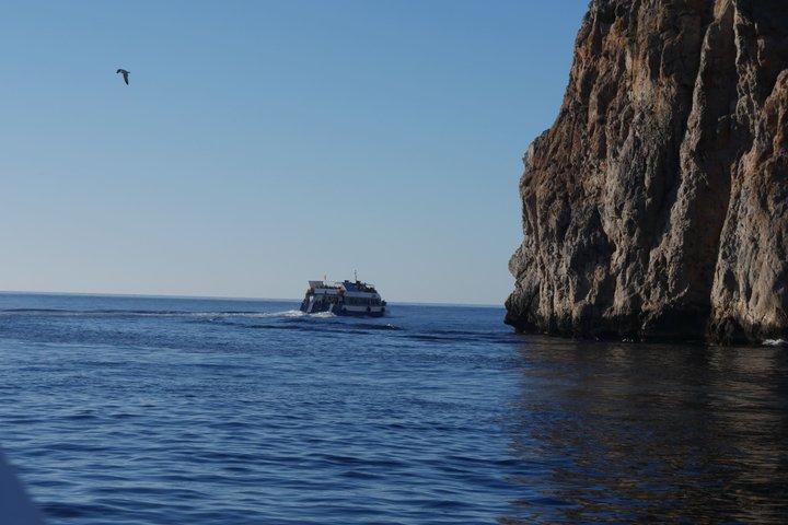 イビサ島：エス ベドラの朝または日没のカタマラン クルーズ