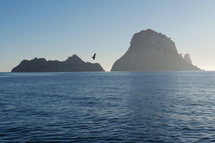 イビサ島：エス ベドラの朝または日没のカタマラン クルーズ