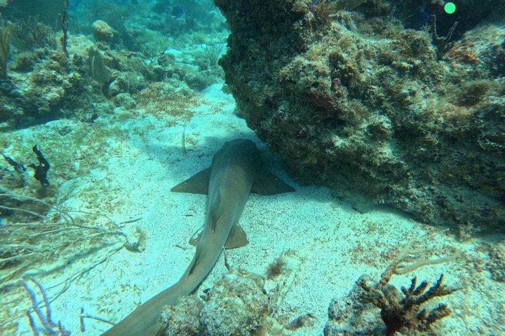 クレブラ島シュノーケリングとビーチ日帰りツアーはオールインクルーシブ