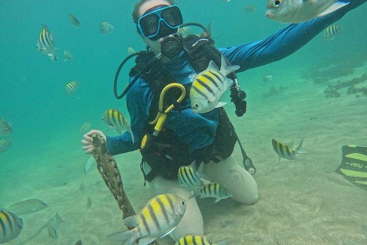 Discover Scuba Diving in San Juan: Perfect for First-Time Divers