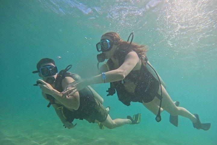 Discover Scuba Diving in San Juan: Perfect for First-Time Divers
