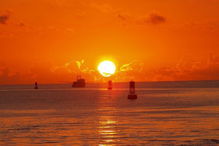 Ultimate Miami Private Sportfiskeri Charter til store grupper