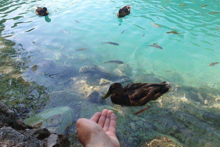 Ljubljana para Zagreb com Plitvice Lakes
