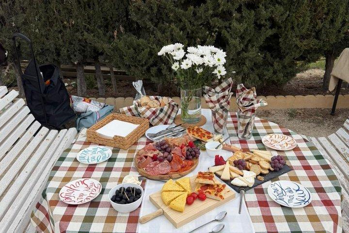 Alicante : Privater Ausritt + Brunch oder Weinprobe + Abholung